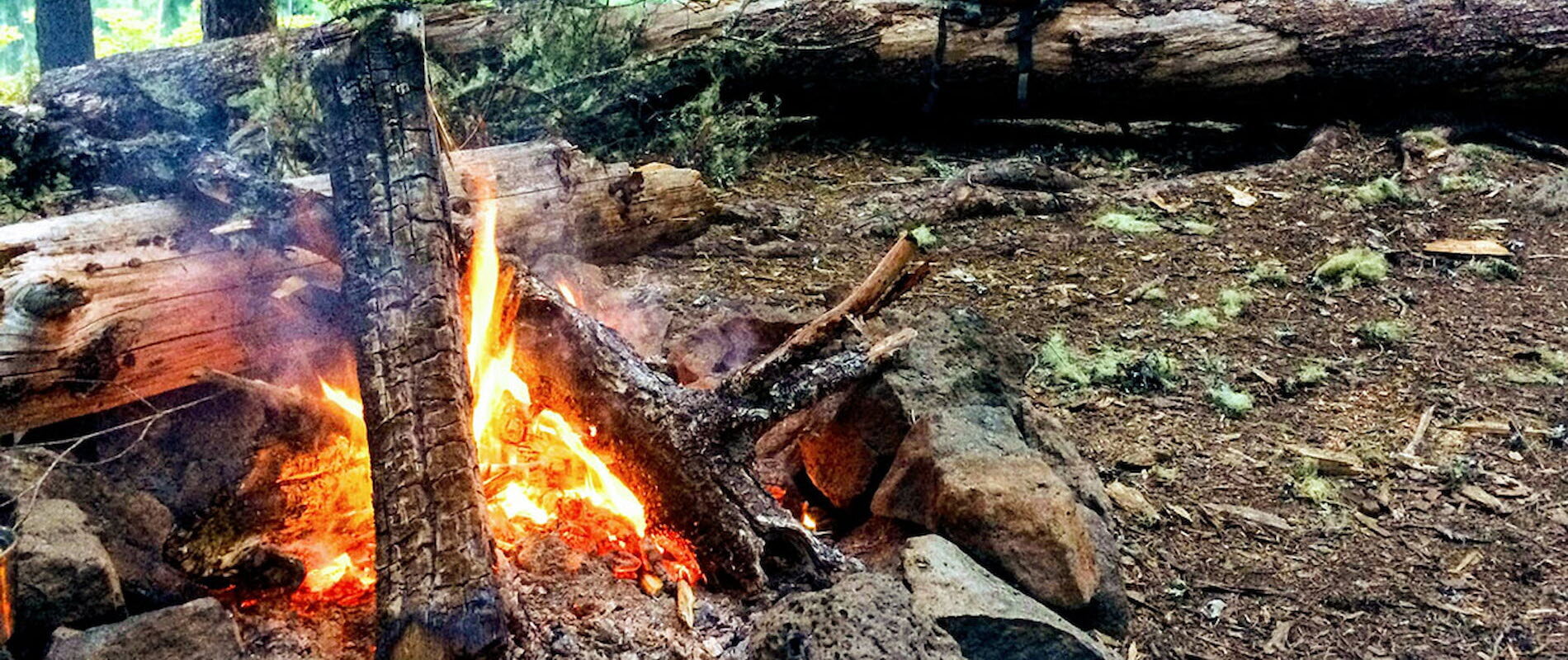 Bål som brenner i skog